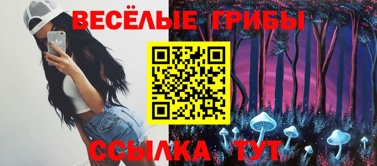 Псилоцибиновые грибы ЛСД Чайковский